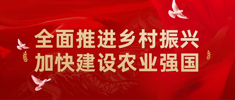 全面推進鄉村振興,加快建設農業強國(guó)